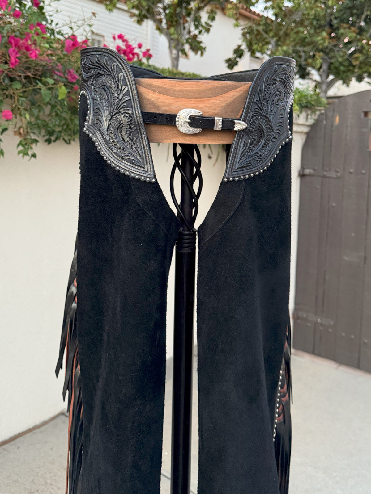 CHAPS #79 MEDIUM SHORT